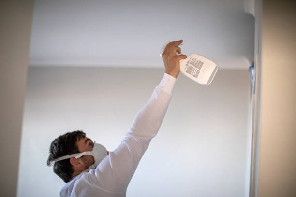 Best Crawl Space Mold Removal  in Lla Lla East, WA
